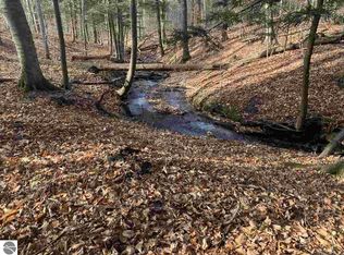 7380 Hansen Trl, Bellaire, MI 49615