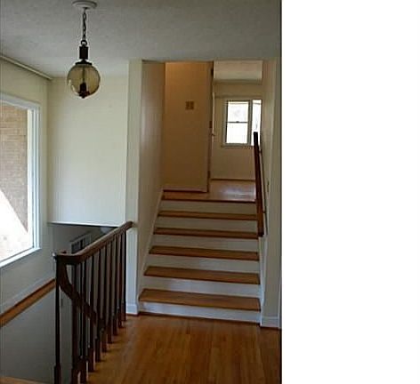3rd image of 4715 Berini Dr