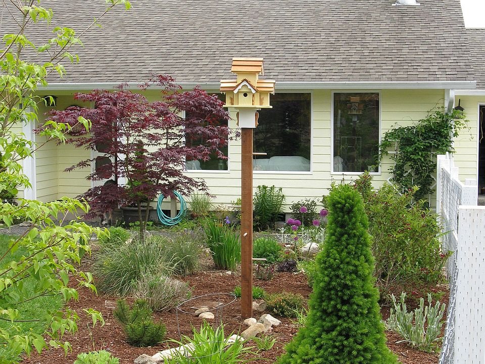 front yard