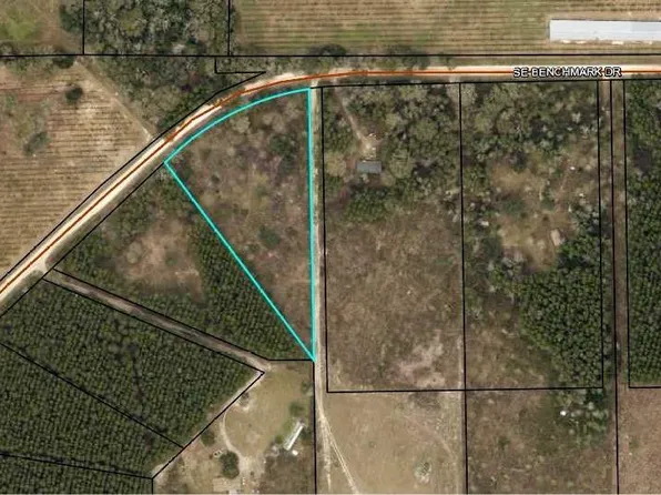 SE Benchmark Dr, Madison, FL 32340