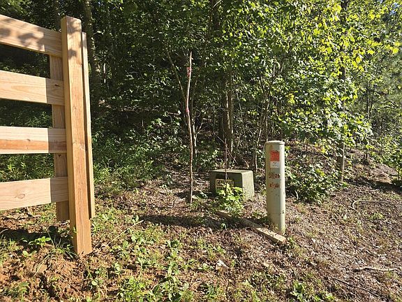 3rd image of 8 Wolf Pen Gap Rd