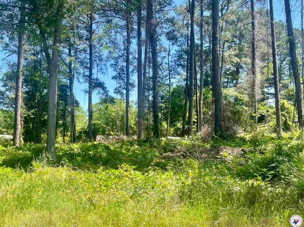 50 County Road 4793, Atlanta, TX 75551