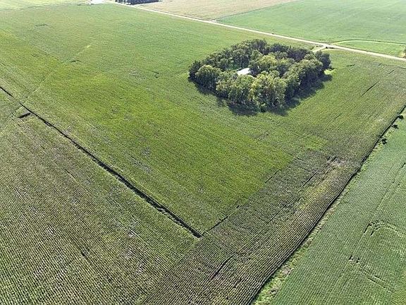 35 Acres of Farmland - Parcel 1