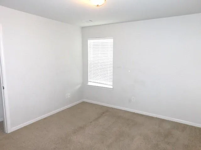 152 Fern Walk — Photo 13