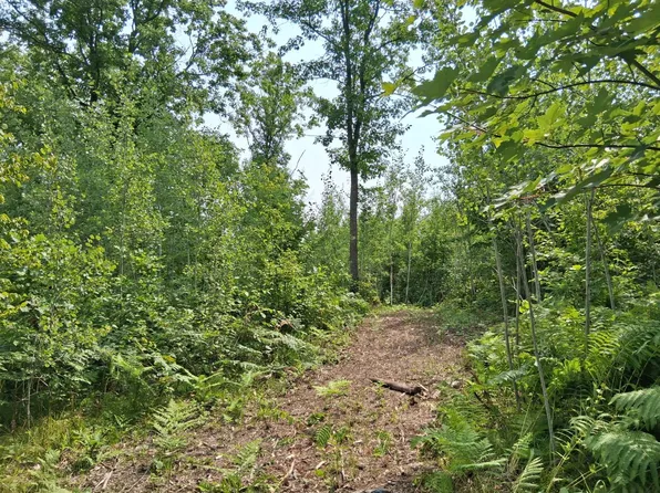 PARCEL 1 County Road T, Danbury, WI 54830