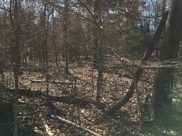 242 Tuscon Ln, Viola, AR 72583