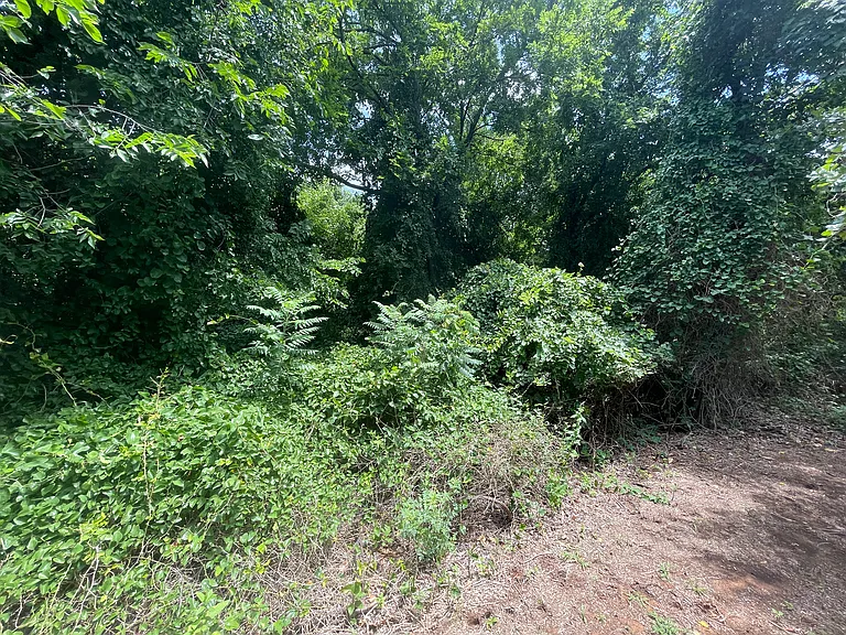 private walking trails (5)