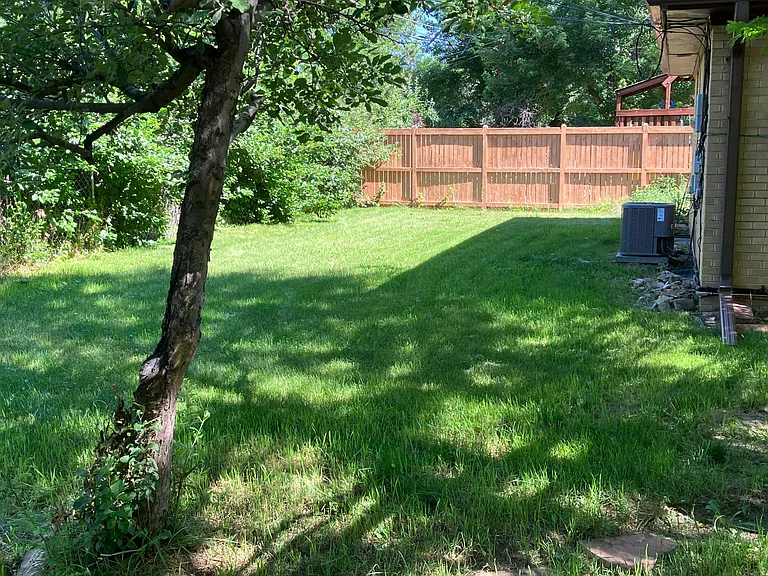 Backyard view 2