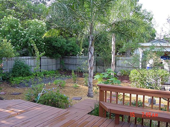 Lush Backyard