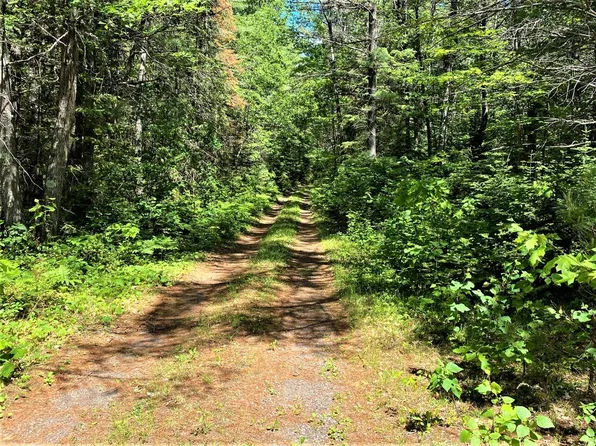 6118 Dog Lake Rd, Manitowish Waters, WI 54545