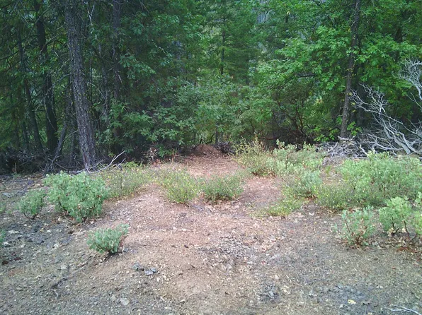 Xox Ditch Creek Rd, Hornbrook, CA 96044