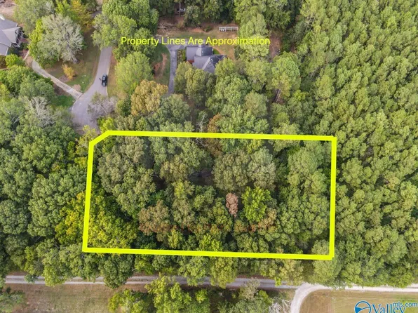 LOT 8 Woodland Ter, Moulton, AL 35650