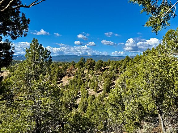 3rd image of 2153 Wrangler Way Lot 22