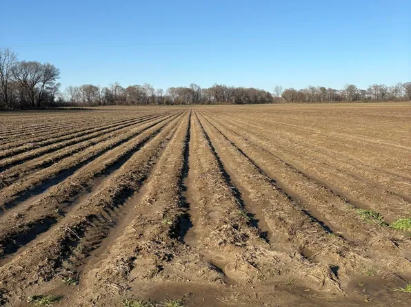 Sandy Bayou Rd, Anguilla, MS 38721