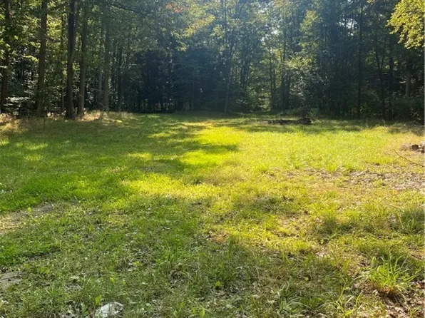 0 Yeager Hill Rd #16, Scio, NY 14880