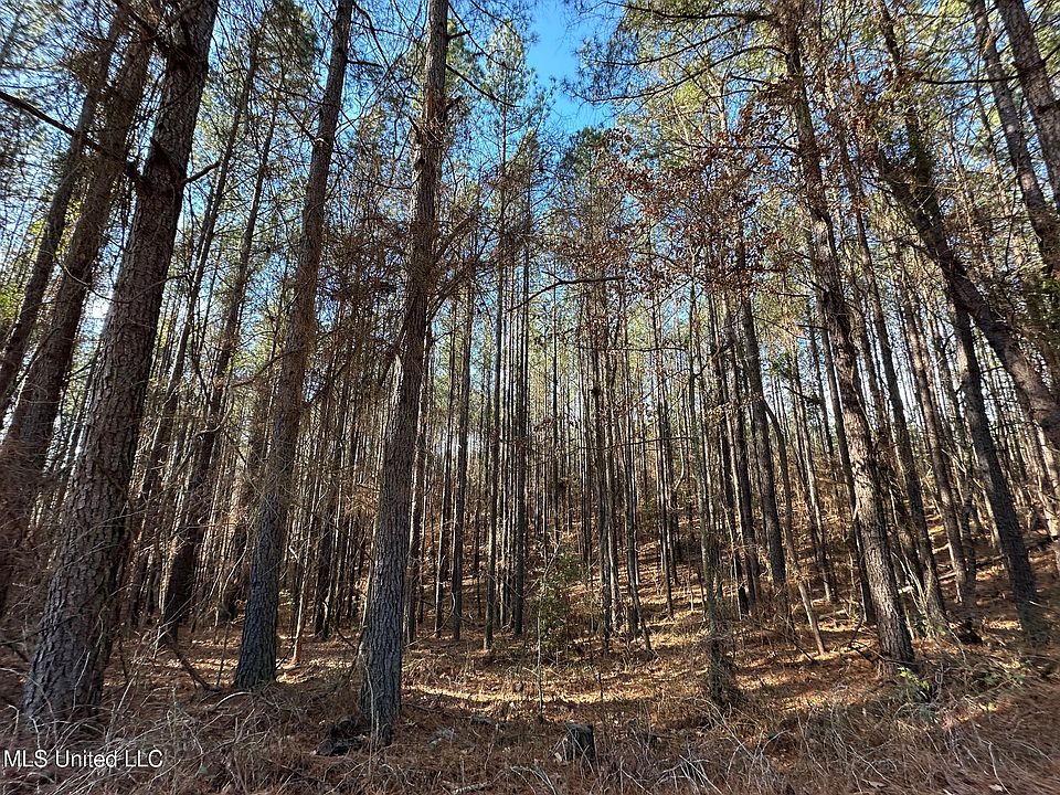 1st image of 3 Old Pickens Rd