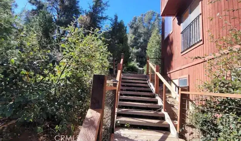 1317 Pinetree Dr — Photo 30