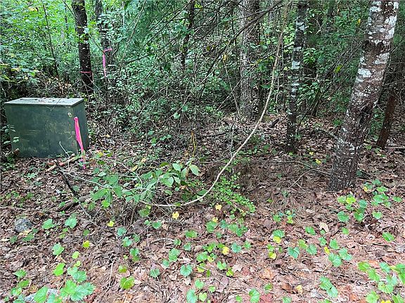 3rd image of LOT 30 Sourwood Bench Ct