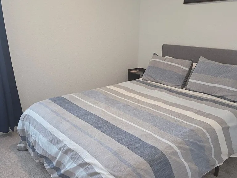 3323 Silvery Bryum Dr — Photo 8