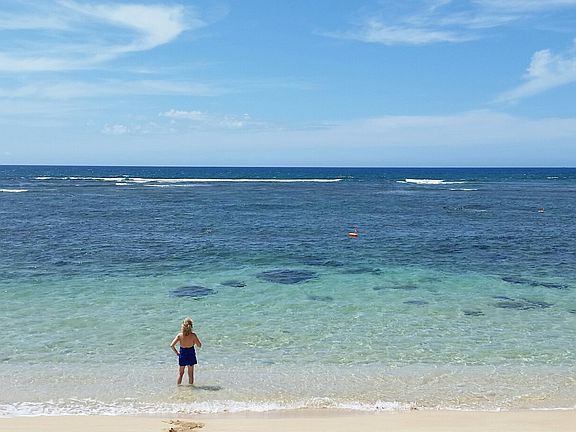Beautiful beach in front of house