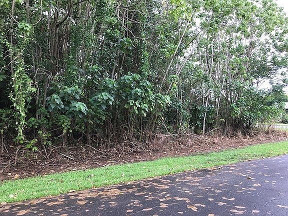 2nd image of Uhiuhi St Lot 8805
