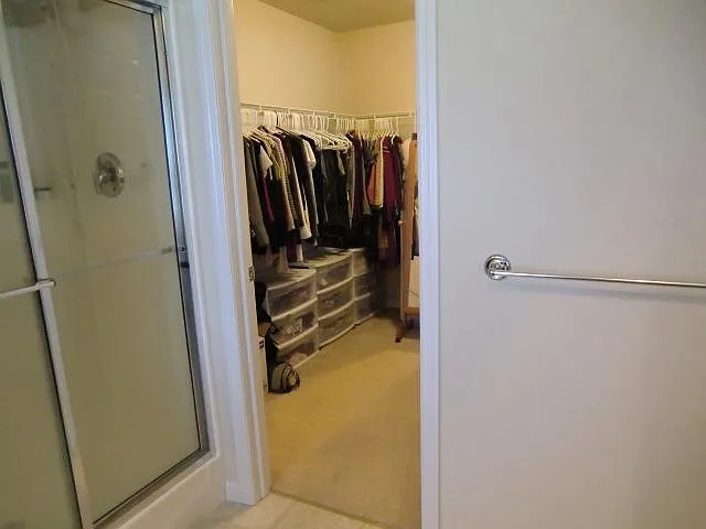master bedroom with walk-in closet