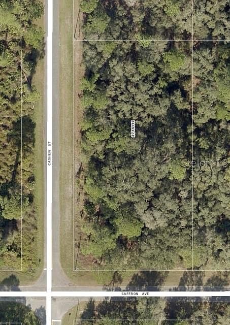 1st image of 30515 SAFFRON AVENUE LOT 12