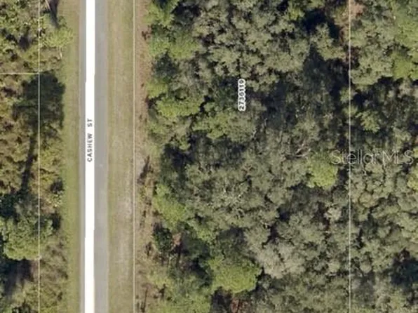 30515 Saffron Ave #12, Eustis, FL 32736