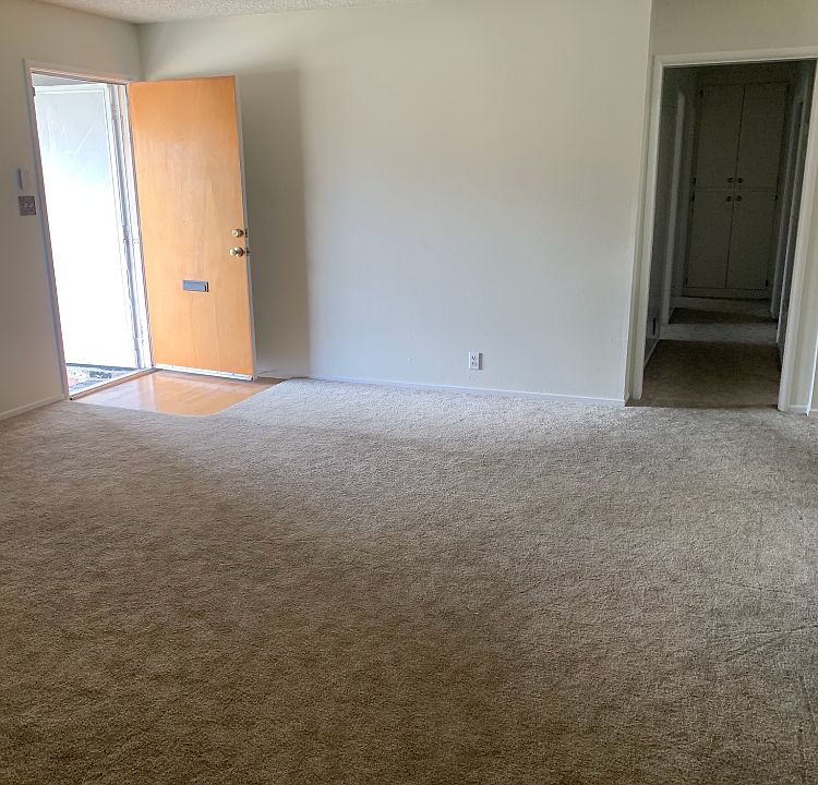 1st image of 1010 Palomino St