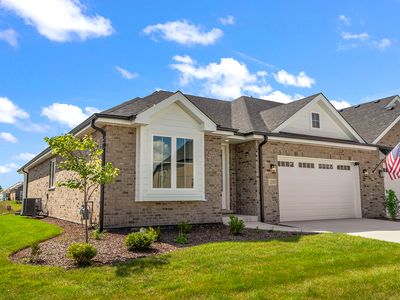12193 Curragh Meadow Way, Lemont, IL, 60439