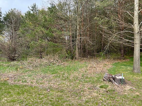 3rd image of 4355 Beechwood Ln
