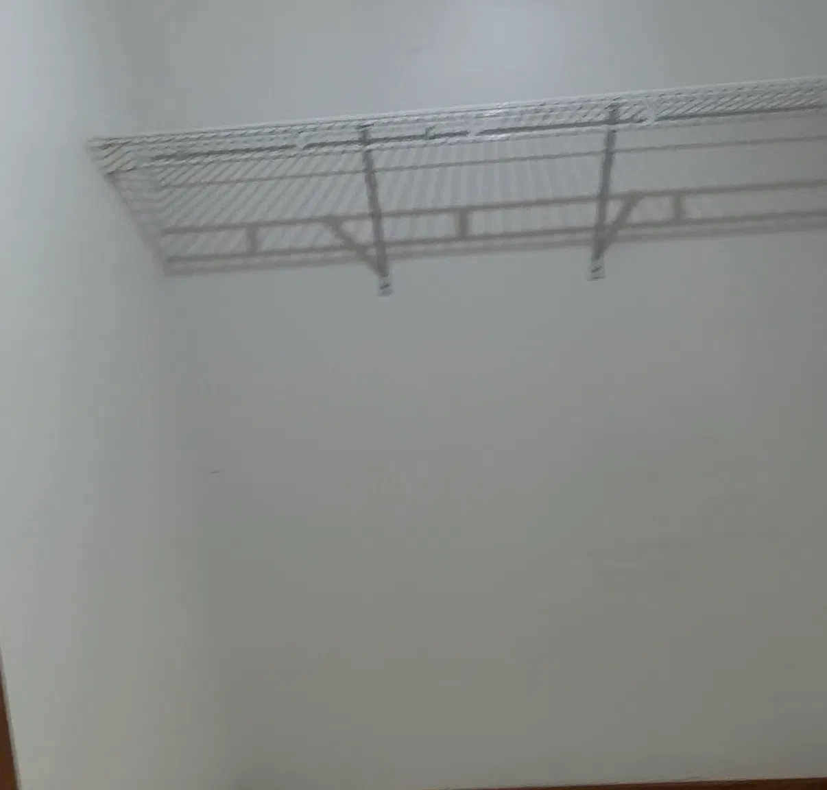 1 bed, 650 sqft, $1,250 — Photo 4