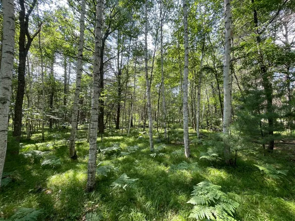LOT 266 Ridgeway Ct, Minocqua, WI 54548