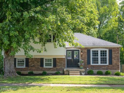 4407 Burgundy Dr, Jeffersontown, KY, 40299