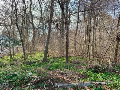 Como Avenue, Waterbury, CT, 06708