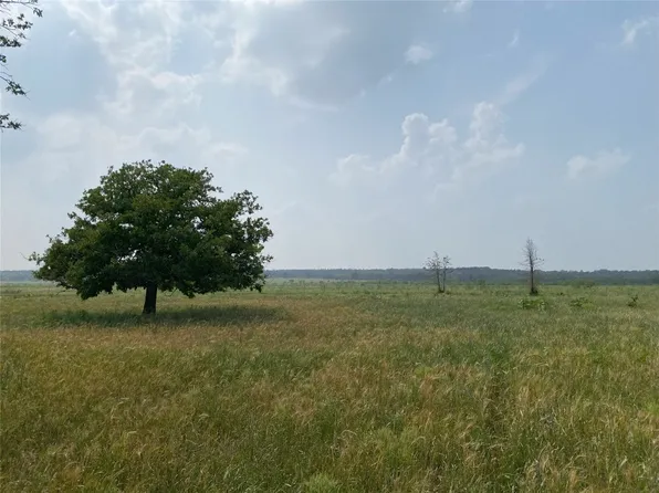 TRACT 2 County Road 323, Carbon, TX 76435