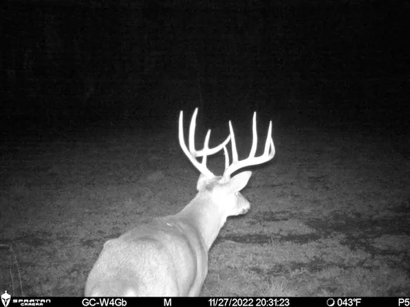 0 E 1950th Rd, Dennison, IL 62423
