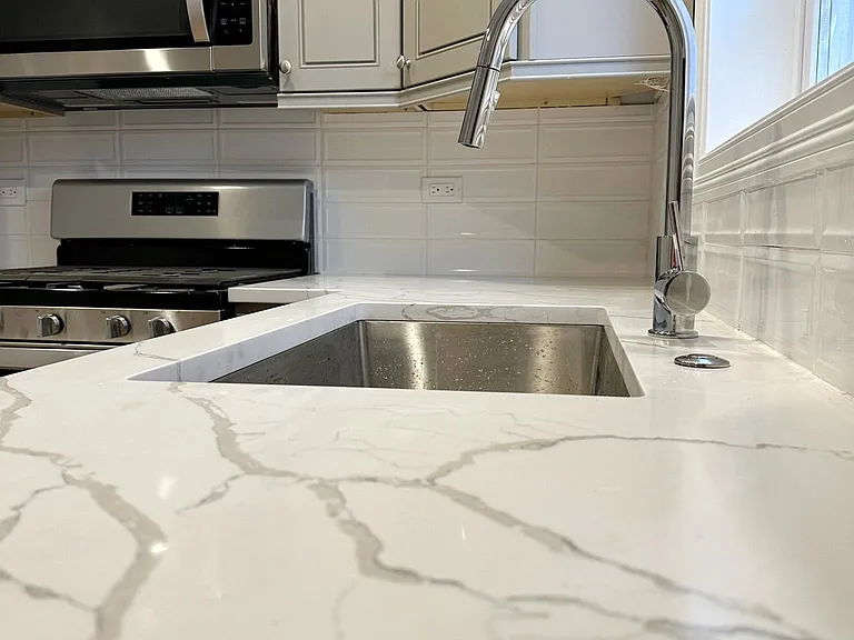 5308 N Damen Ave #2F — Photo 8