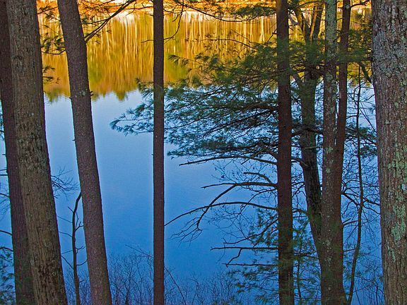 Lake From Screen-house