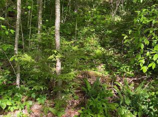 9 Splendor Cove Rd, Cullowhee, NC 28723