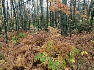 Gods Wilderness Rd, Silver Bay, MN 55614
