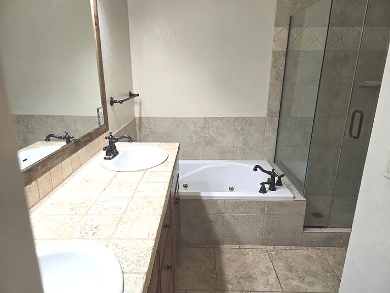 Master bath w/separate tub and shwoer