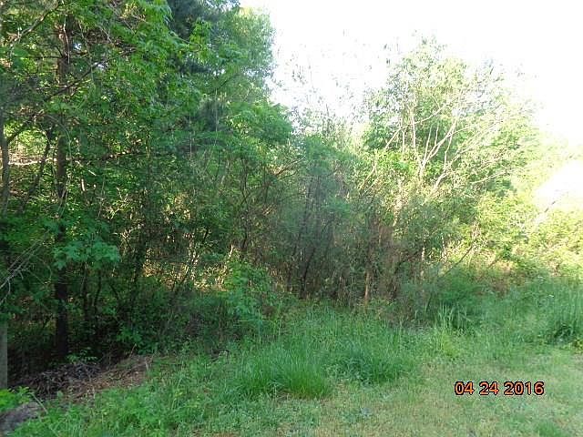 2nd image of 115 Newington Cir