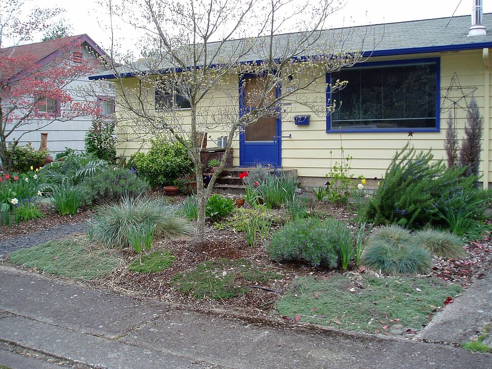 Landscaped front yard