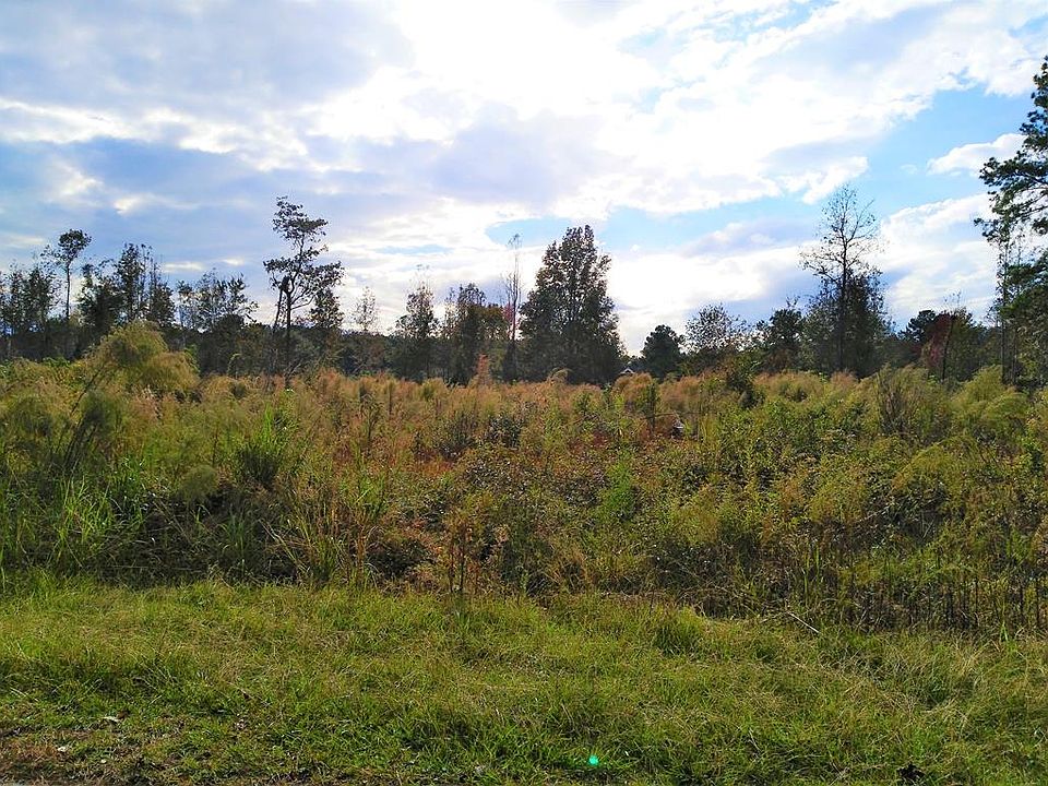 1st image of 235 E Emerald Lake Dr