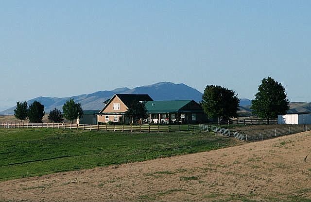 Distant View