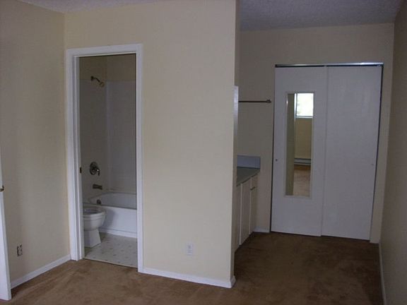 Vanity bathrooms in some units