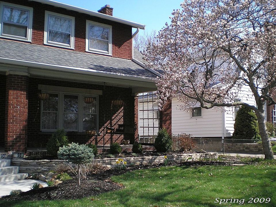 Spring Blooms