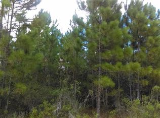 S Fork Ranch Dr, Clermont, FL 34714