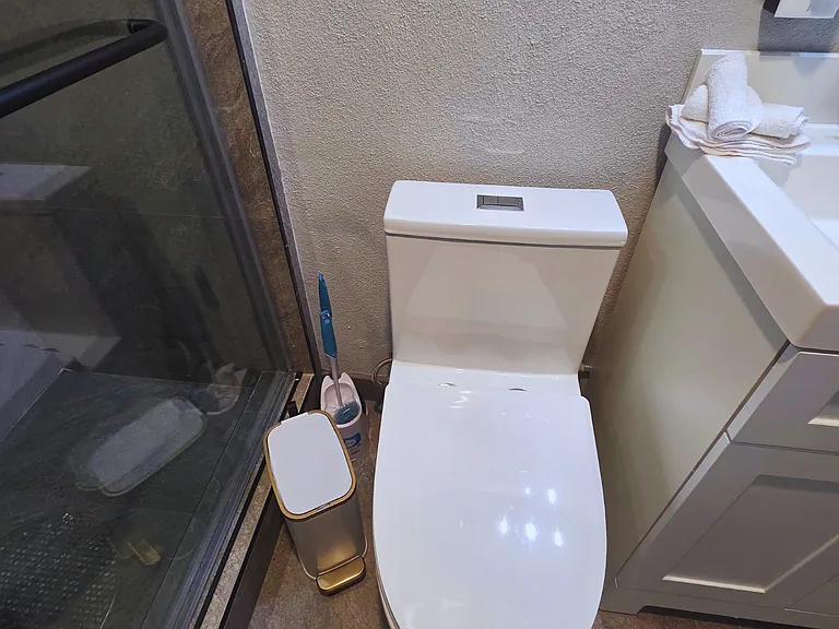Functional toilet area with cleaning brush and trash bin